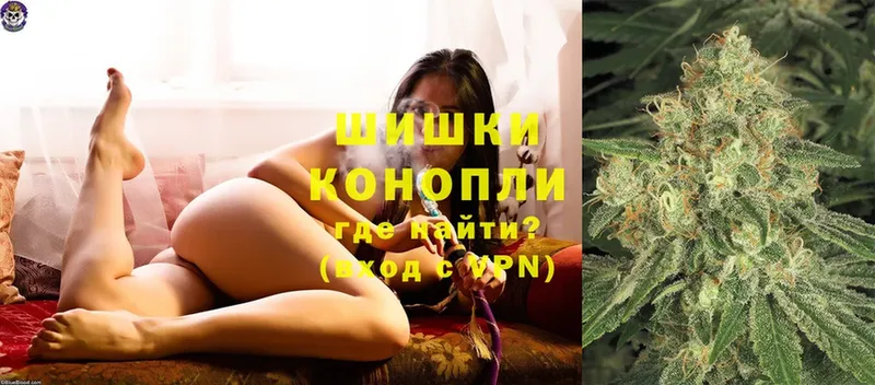 где найти наркотики  Салават  Бошки Шишки SATIVA & INDICA 